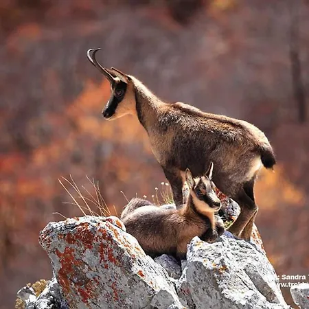 Villa Casa Pie' Di Monte Refuge
