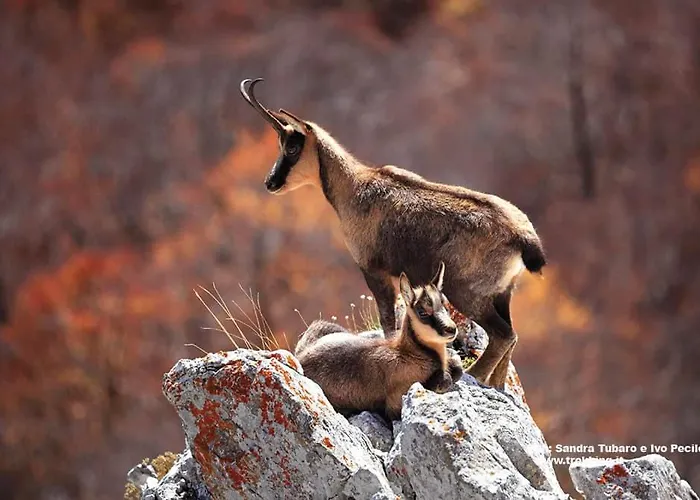 Villa Casa Pie' Di Monte Refuge